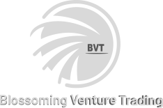 bvt mobile logo